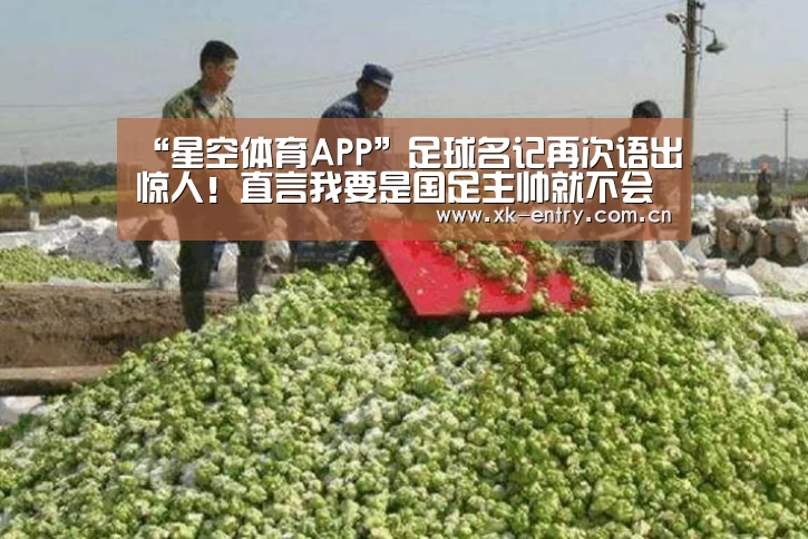 app下载