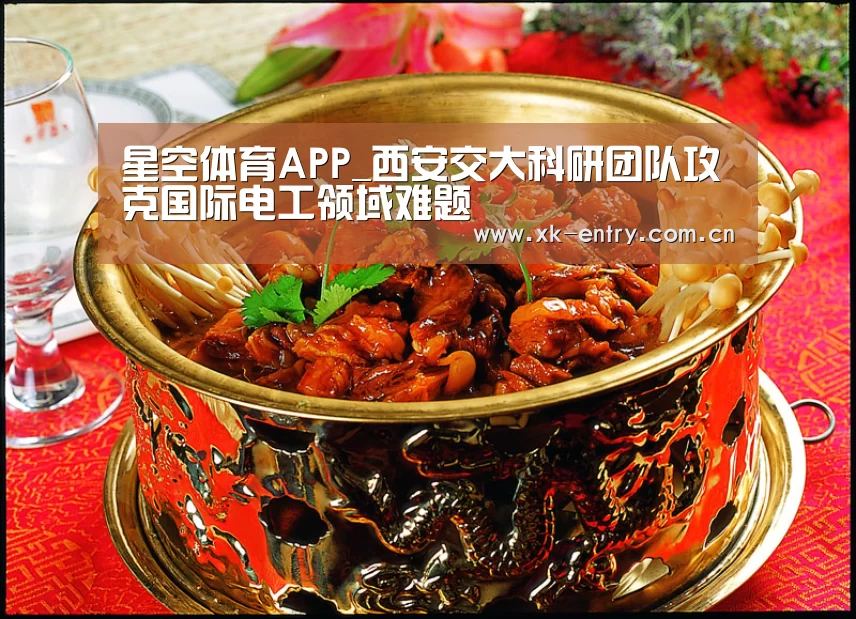 星空体育APP_西安交大科研团队攻克国际电工领域难题(图1) 星空体育