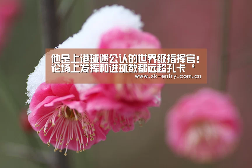 星空体育