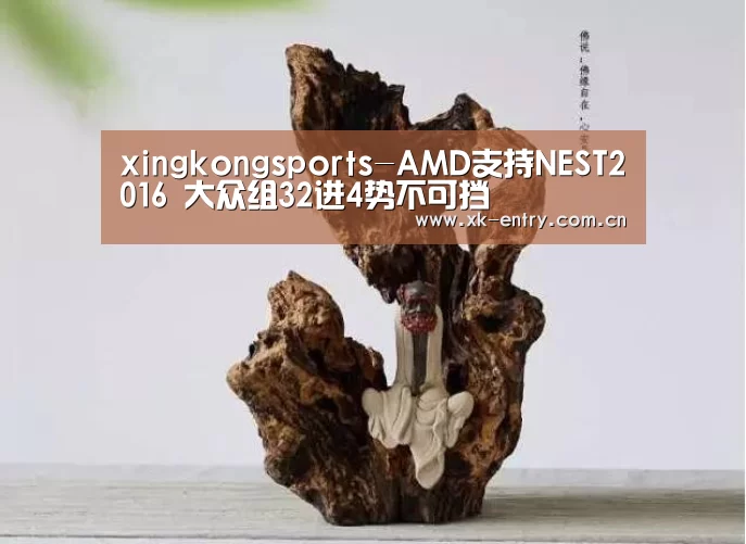 xingkongsports-AMD支持NEST2016 大众组32进4势不可挡(图4) xingkongsports-AMD支持NEST2016 大众组32进4势不可挡(图4)