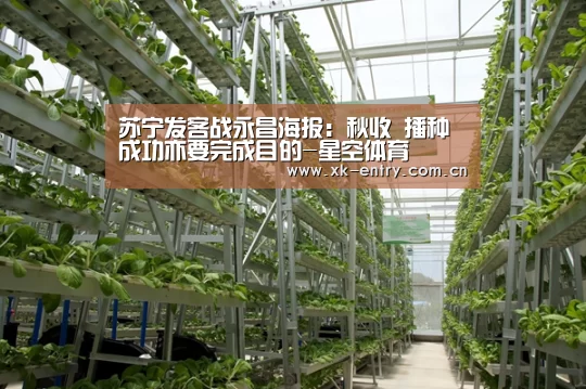 苏宁发客战永昌海报：秋收 播种成功亦要完成目的-星空体育(图2)