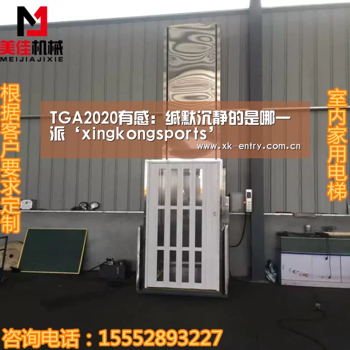 TGA2020有感:缄默沉静的是哪一派‘xingkongsports’(图3) 星空体育