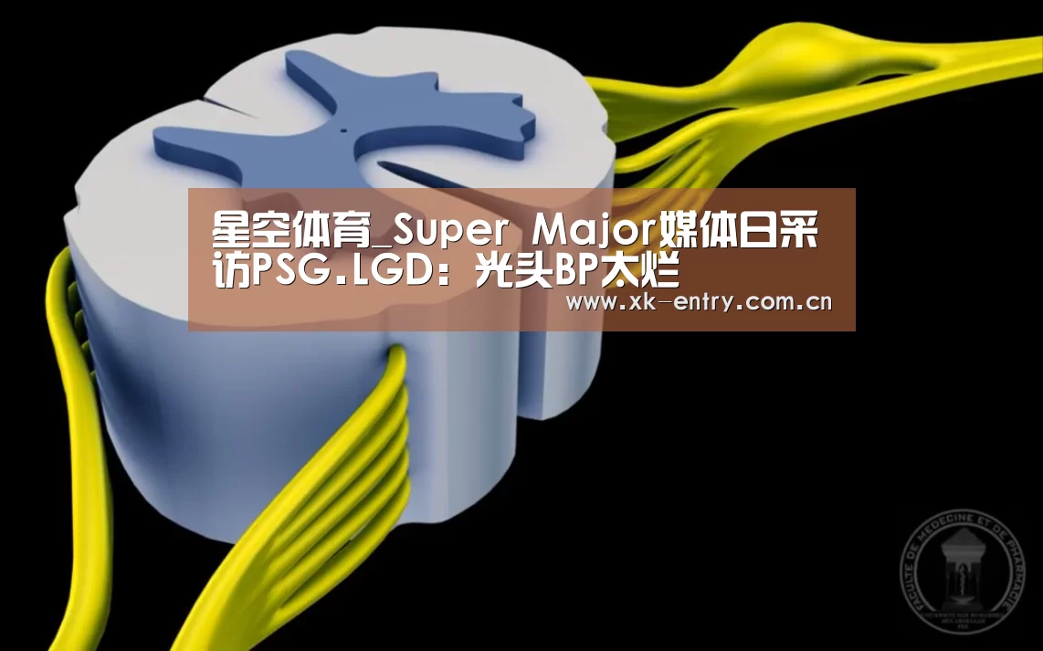 星空体育_Super Major媒体日采访PSG.LGD:光头BP太烂(图1) 星空体育