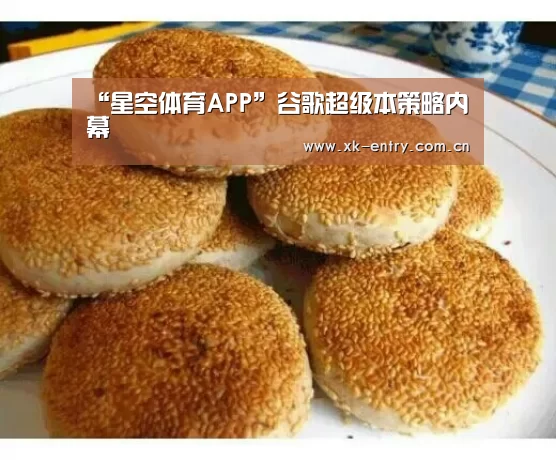 “星空体育APP”谷歌超级本策略内幕(图1) 星空体育
