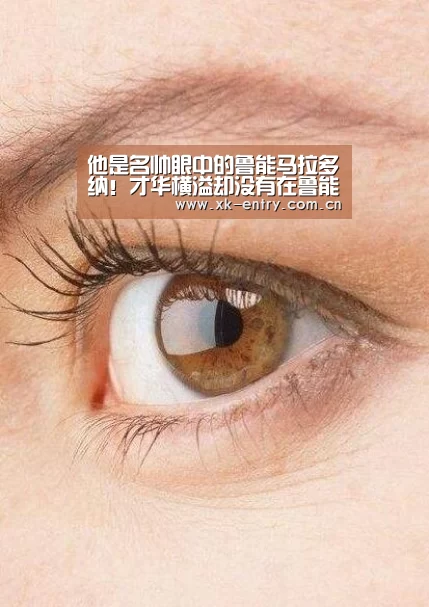 app下载