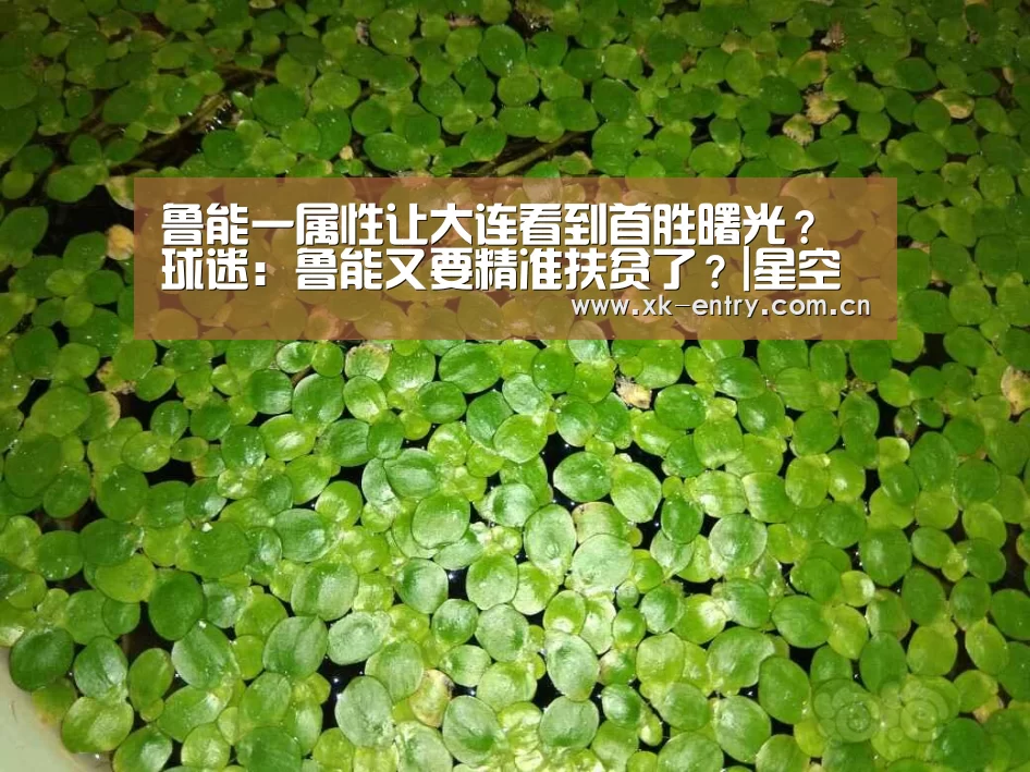 星空体育