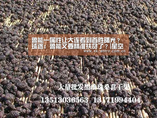 app下载