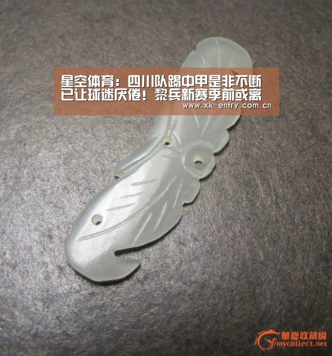 app下载
