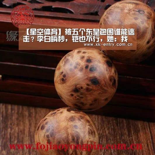 星空体育APP
