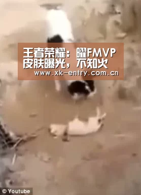 app下载