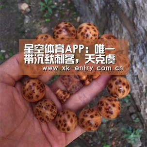 星空体育