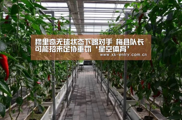 穆里奇无球状态下踢对手 梅县队长可能招来足协重罚‘星空体育’(图1) 穆里奇无球状态下踢对手 梅县队长可能招来足协重罚‘星空体育’(图1)